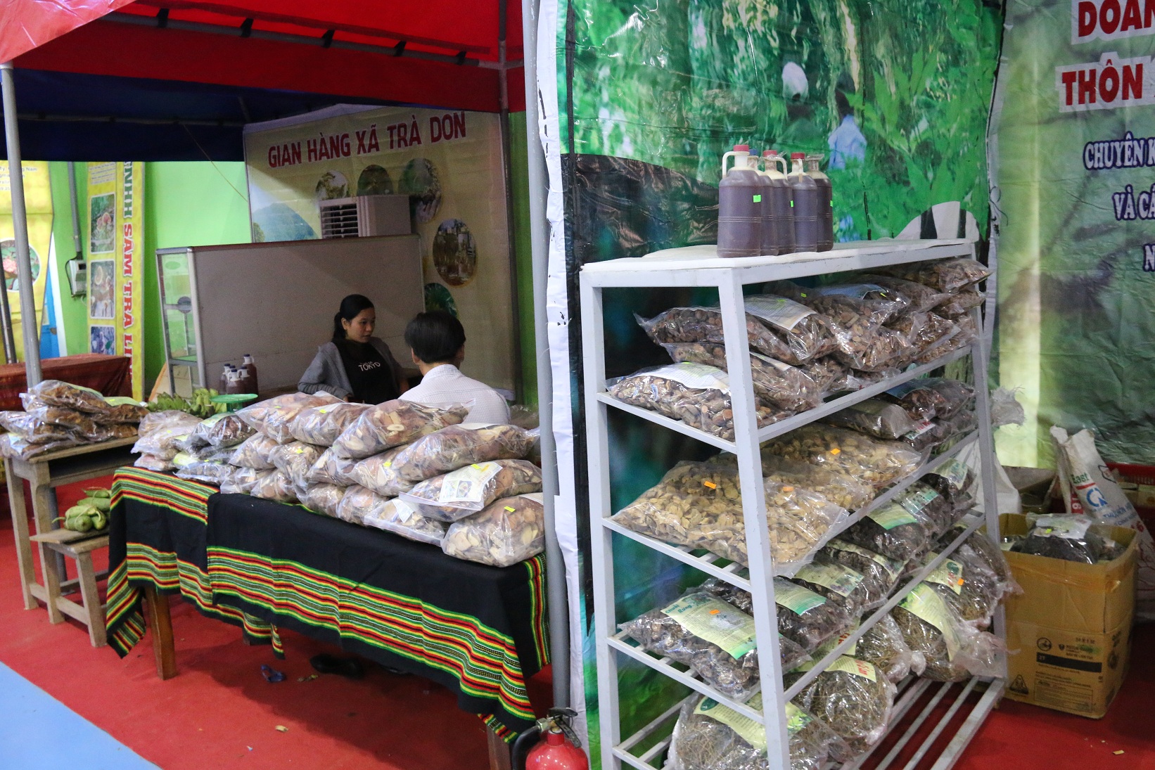 Sâm Ngọc Linh gần 100 triệu/kg vẫn đắt như tôm tươi - Ảnh 5.
