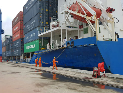 Cảng Tân Cảng - Cái Cui (TP Cần Thơ) được đánh giá tương đối phù hợp để phát triển logistics