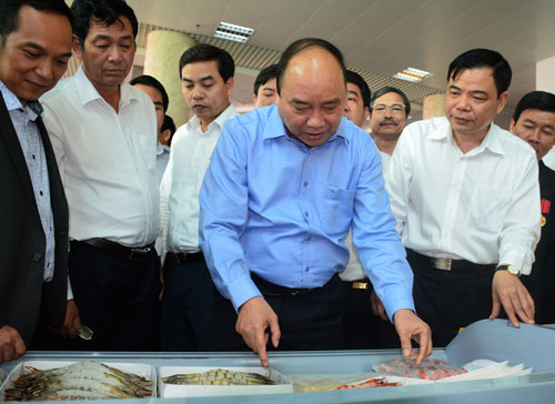 Việt Nam phải là thủ phủ tôm thế giới