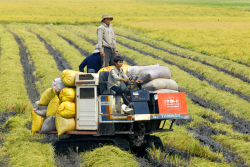 Lấy doanh nghiệp làm "đầu tàu" nông nghiệp