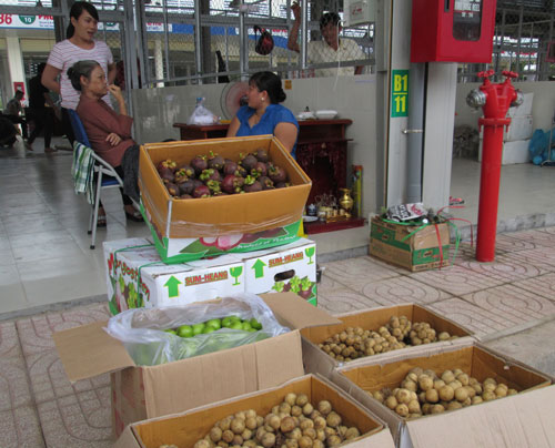 Việt Nam xuất hộ trái cây cho Thái Lan!