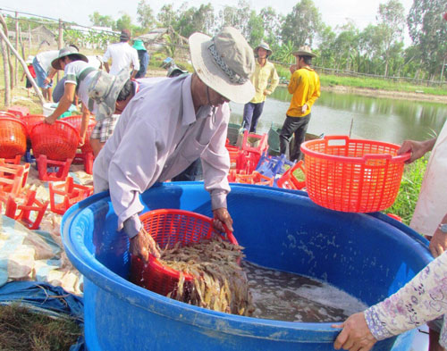 Xuất khẩu nông, lâm thủy sản bị cạnh tranh gay gắt