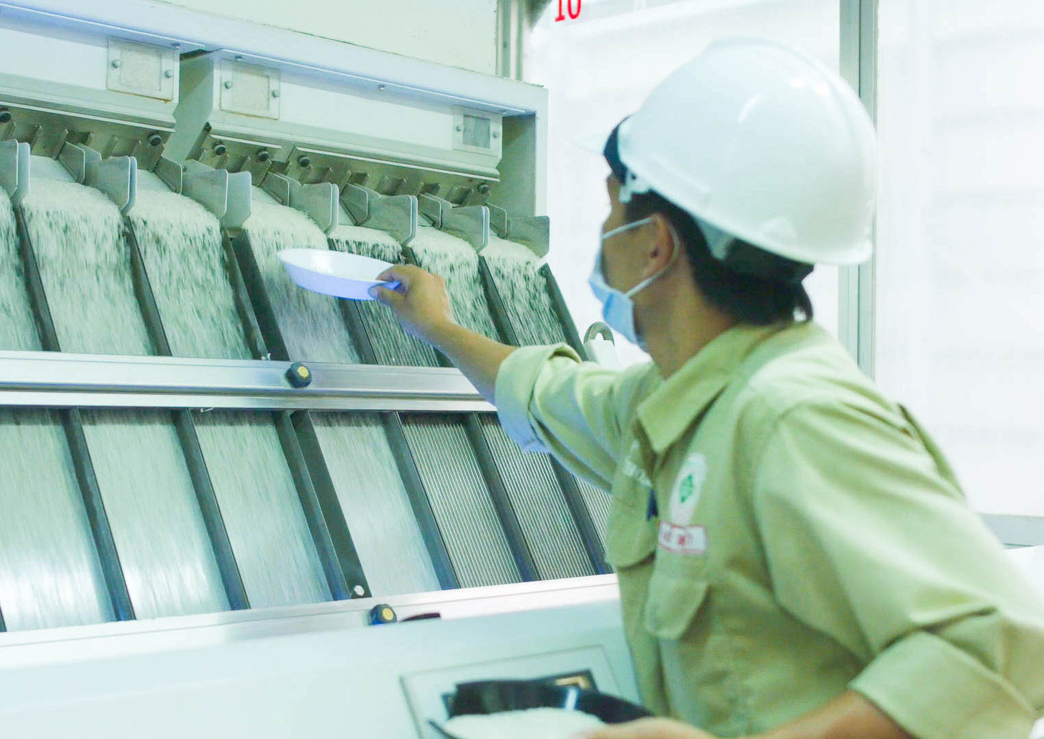 Gần 50% gạo Việt Nam xuất sang Trung Quốc