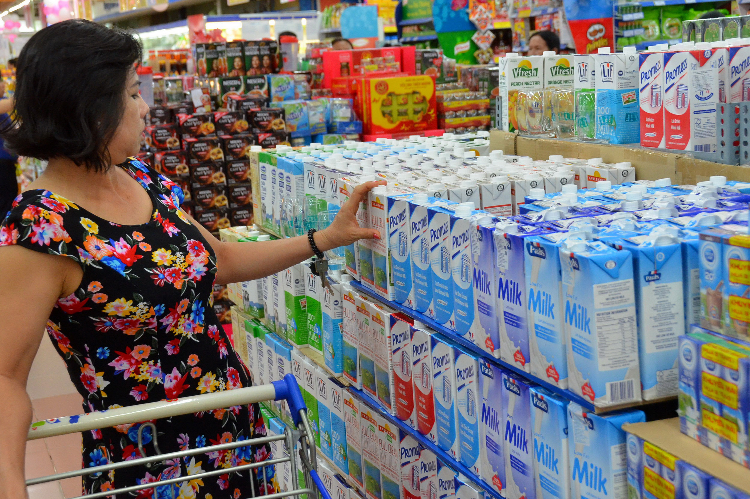 TP HCM: Đàn bò sữa và sản lượng sữa tươi giảm