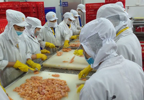Nghịch lý giá gà cao hơn giá heo