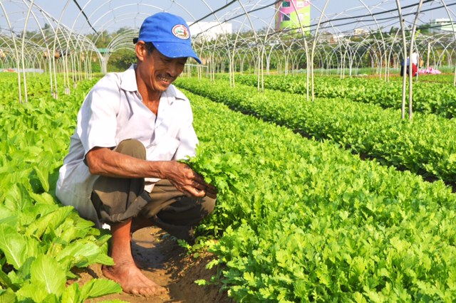 Mỗi người Việt chỉ làm được 85 triệu đồng/năm