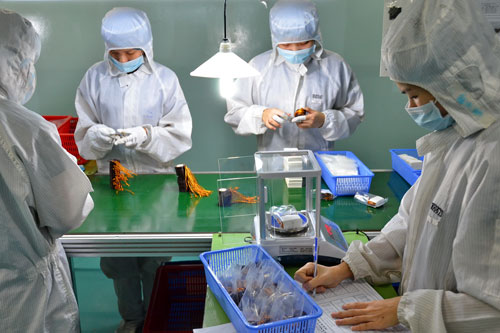 Nhiều yếu tố thúc đẩy kinh tế phát triển