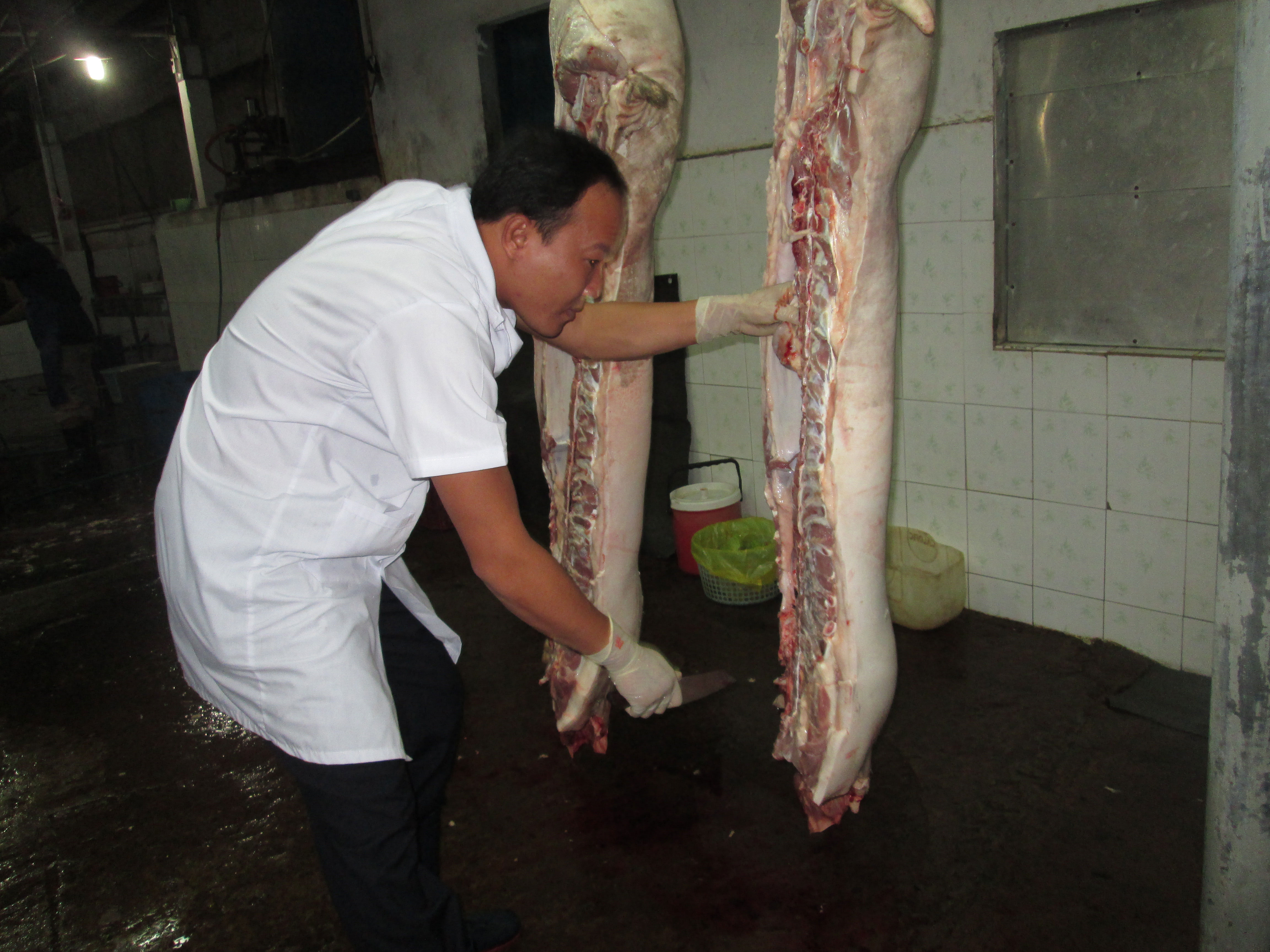 Đùn đẩy cấp phép, thương nhân than phiền