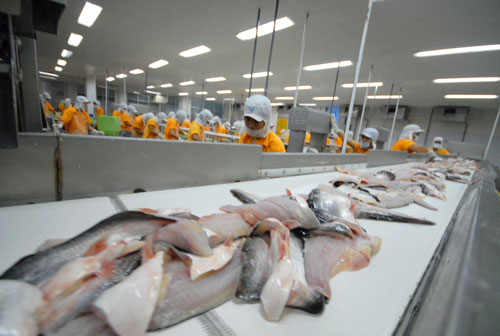 Lo ách tắc cá tra xuất sang Mỹ - Ảnh 1.
