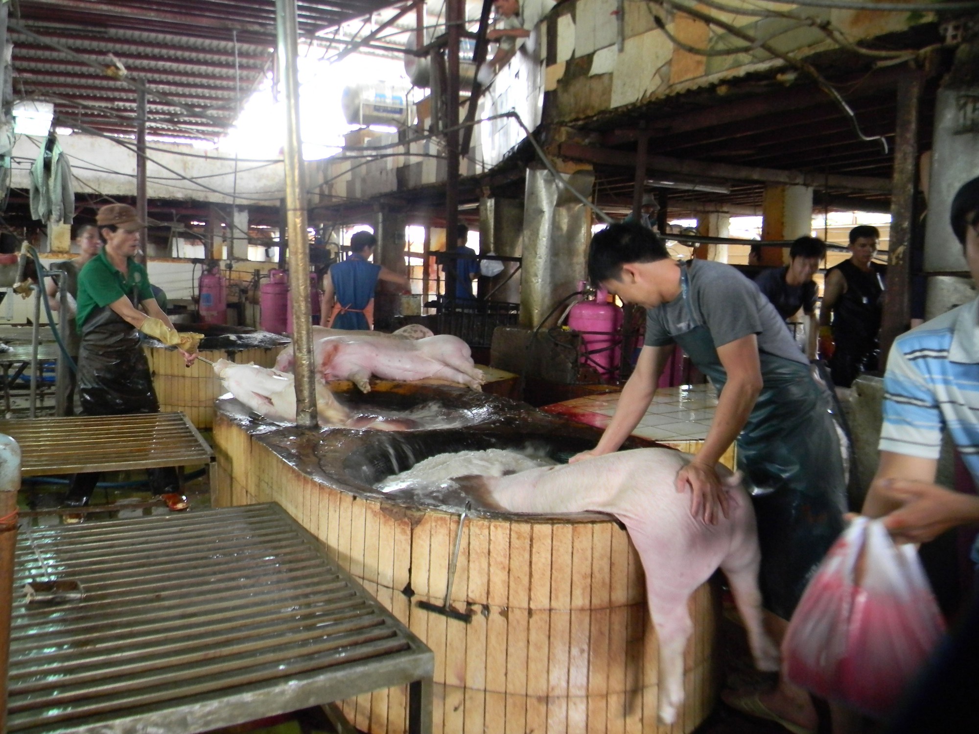 Lo "vỡ trận" giết mổ công nghiệp