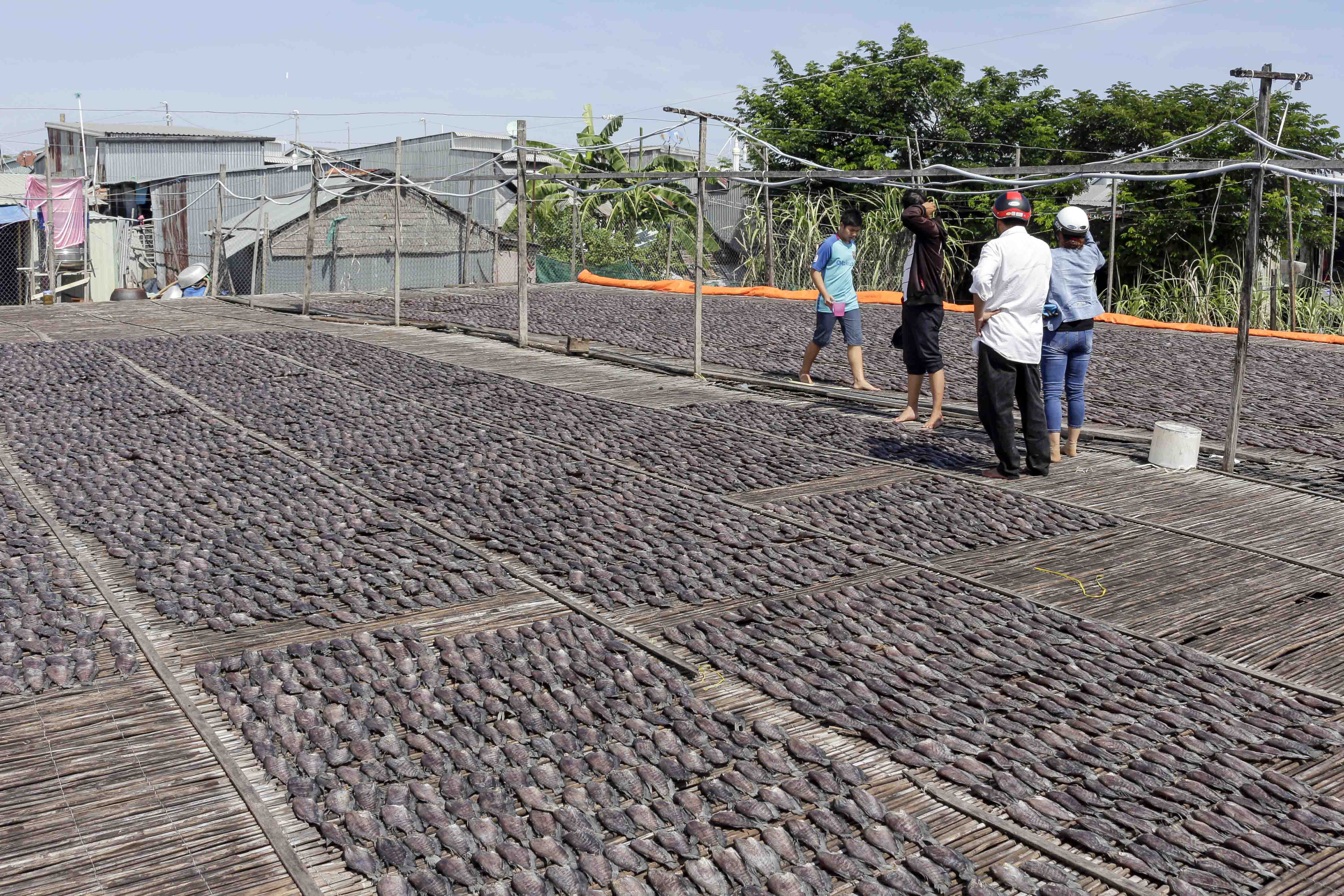 &ldquo;Chết th&egrave;m&rdquo; với đặc sản kh&ocirc; 1 nắng m&ugrave;a nước nổi - Ảnh 10.