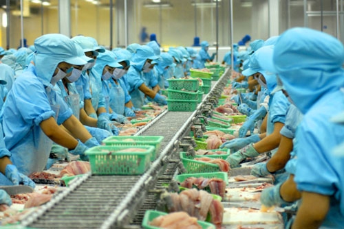 Tranh cãi về phốt pho trong thủy sản - Ảnh 1.