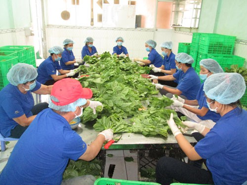 TP HCM tăng cường kiểm so&aacute;t thực phẩm theo chuỗi - Ảnh 1.