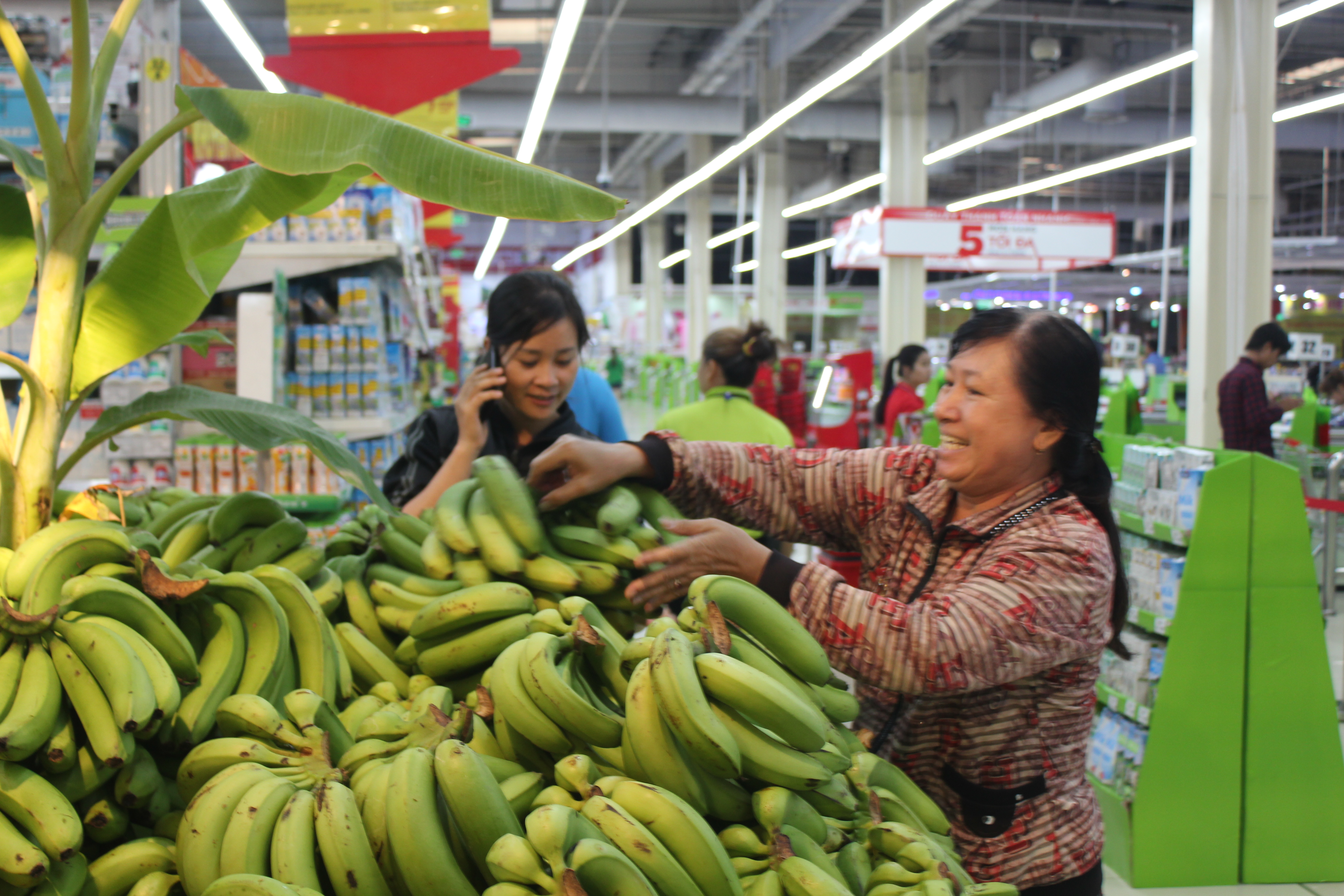 Siêu thị Big C giải cứu 100 tấn chuối ở Đồng Nai