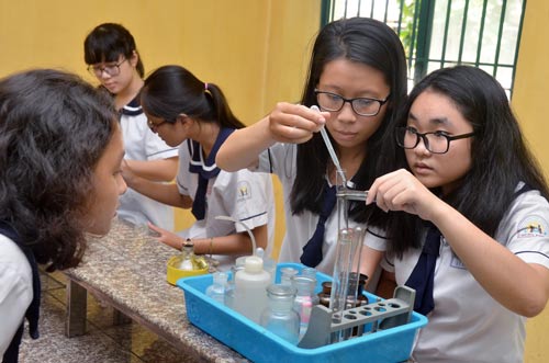 Tài năng mai một vì thiếu người dìu dắt