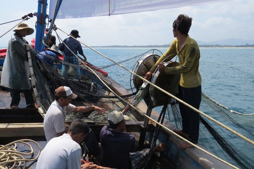 Làm khóm chà trên biển, mỏi tay bắt cá