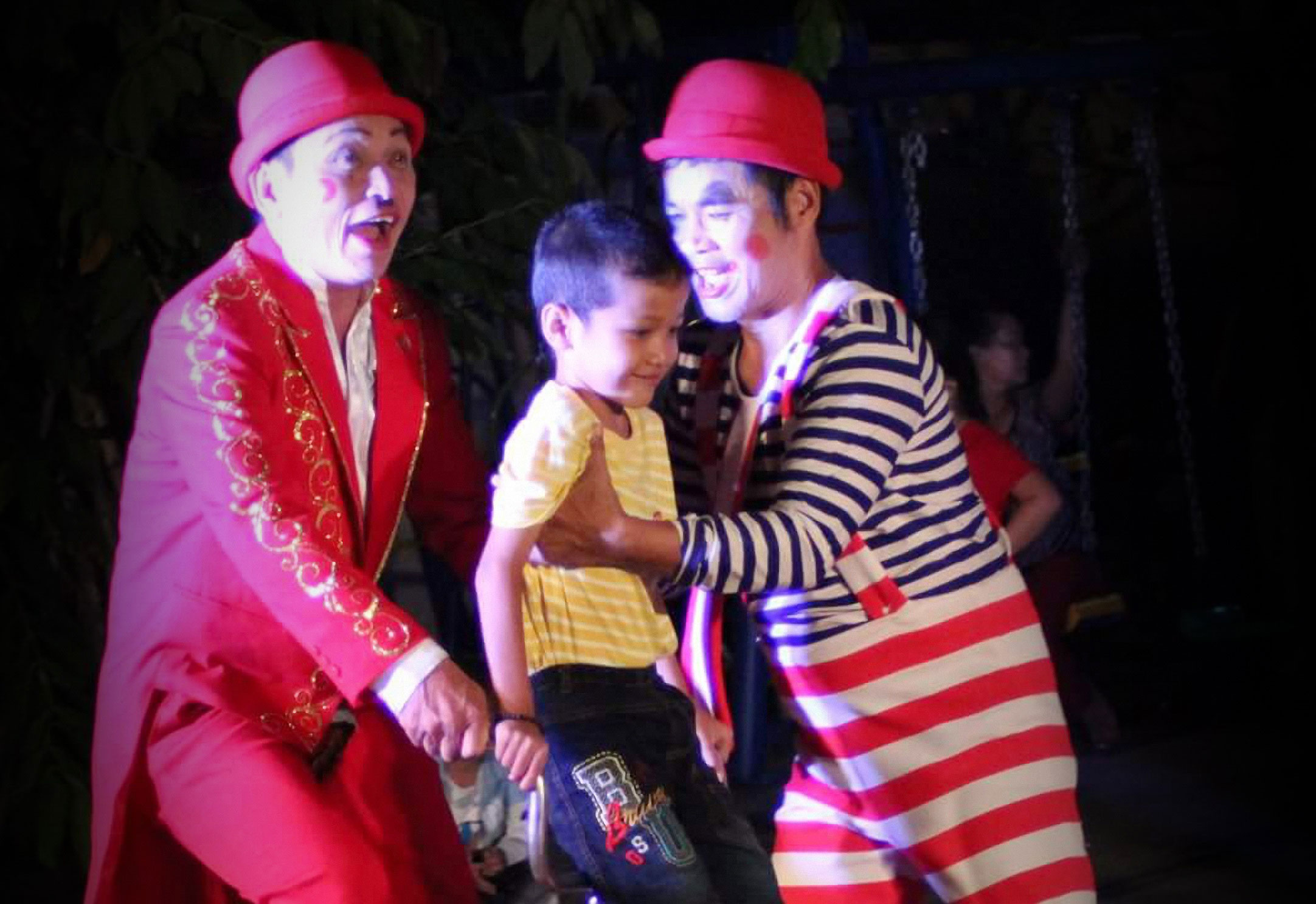 Nhà hát Nghệ thuật Phương Nam đổi tên