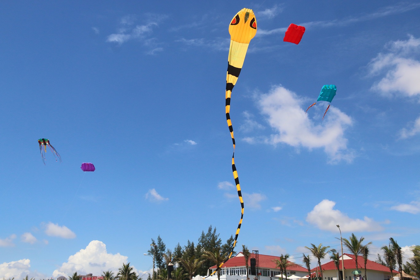 Đắm ch&igrave;m với những m&agrave;n tr&igrave;nh diễn tại Festival Diều quốc tế - Ảnh 24.