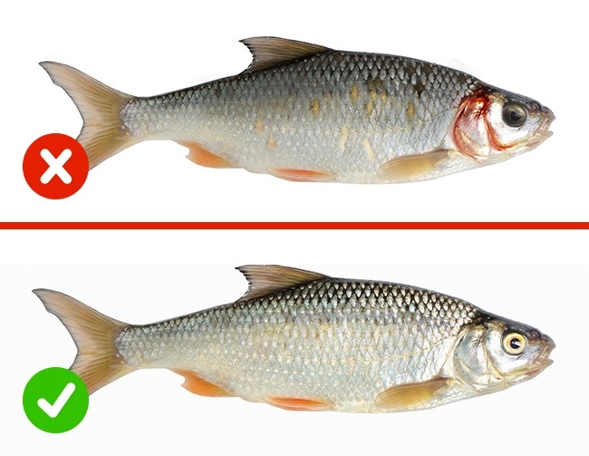 Bạn có biết cách chọn thực phẩm an toàn, tránh độc? - Ảnh 6.