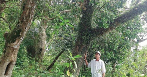 Kho vàng lộ thiên giữa thôn nghèo Siêu Quần