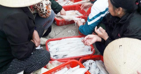 Sướng gì bằng đi chợ cá Cửa Sót sáng tinh mơ