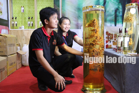 Thu được hơn 4,5 tỉ đồng từ phiên chợ sâm Ngọc Linh