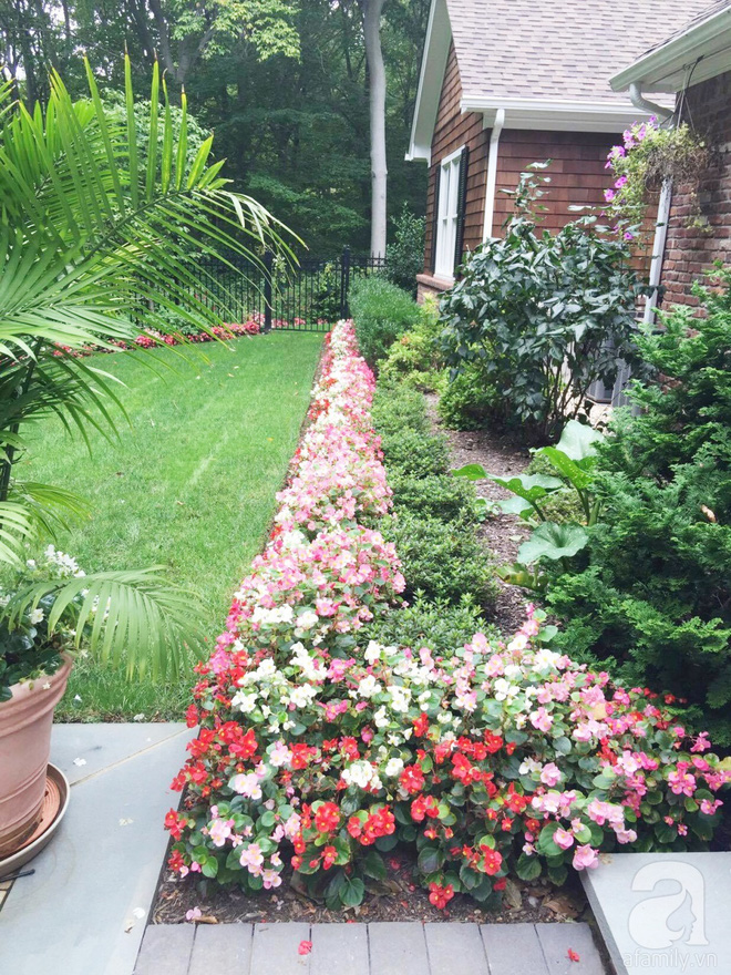 Người phụ nữ Việt biến mảnh đất 12.000m&sup2; th&agrave;nh thi&ecirc;n đường hoa rực rỡ - Ảnh 16.