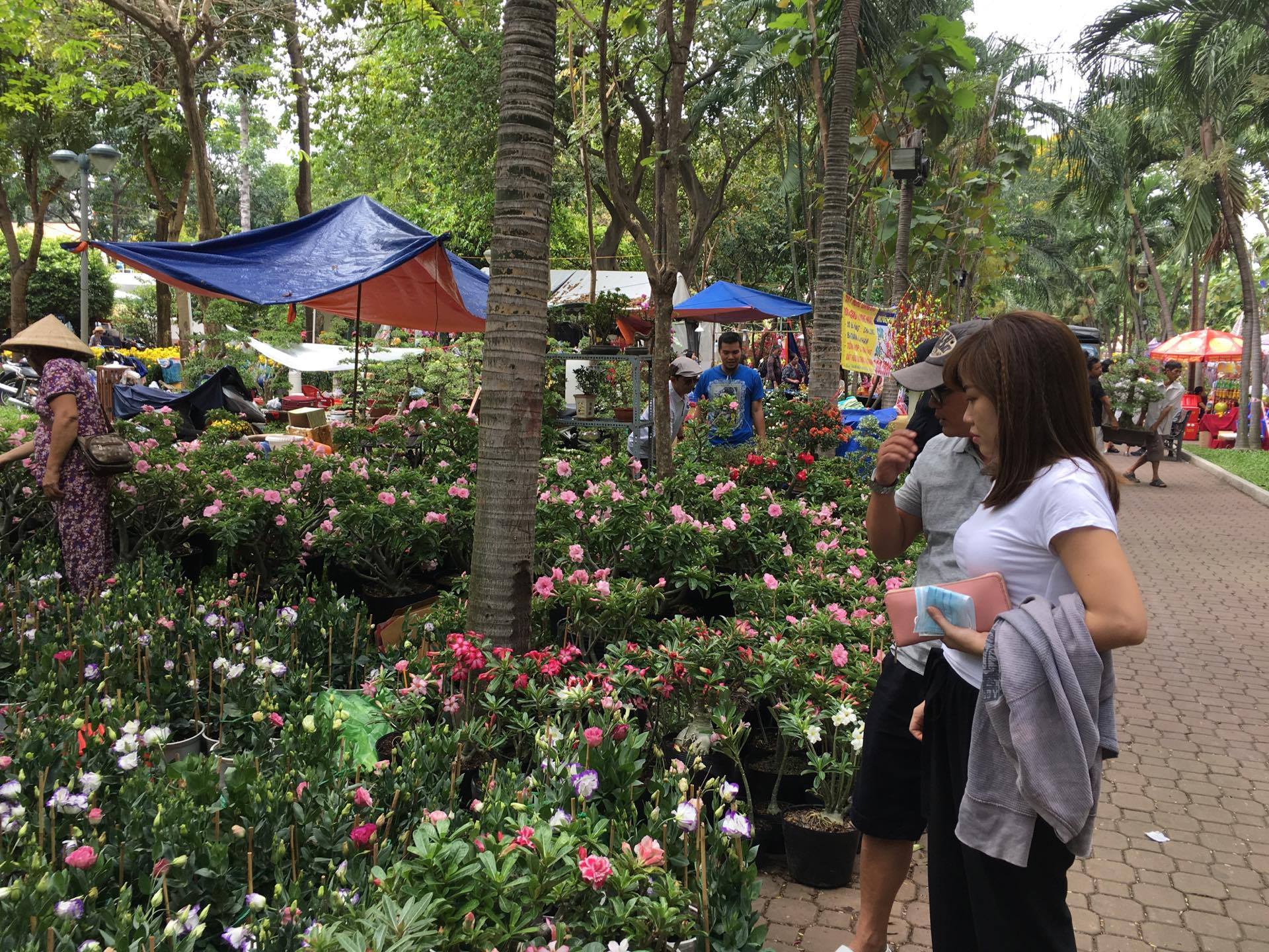 Chợ hoa công viên 23-9 vắng người sáng 29 tết