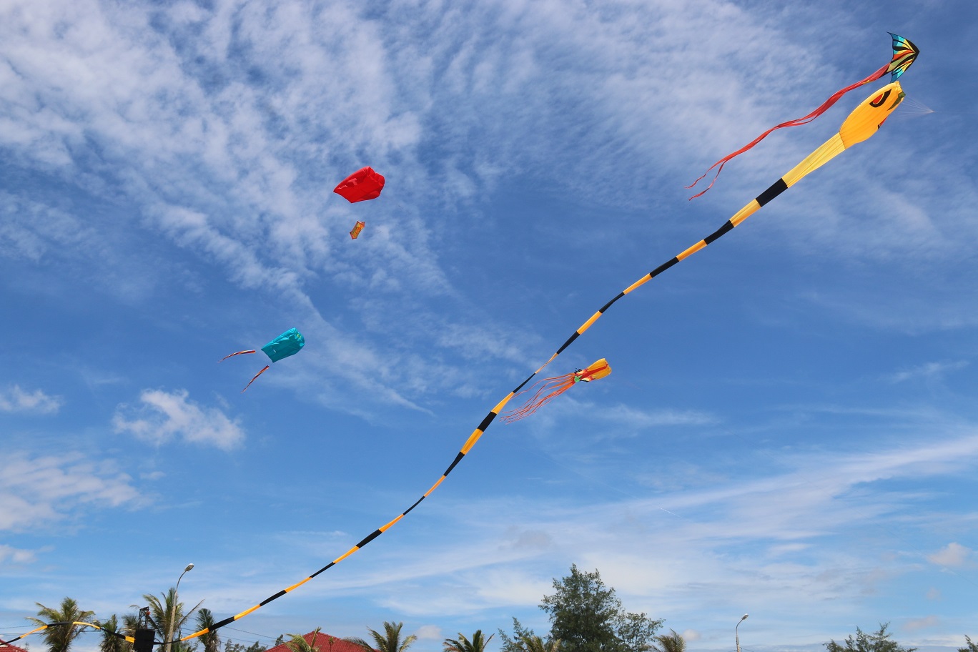 Đắm chìm với những màn trình diễn tại Festival Diều quốc tế