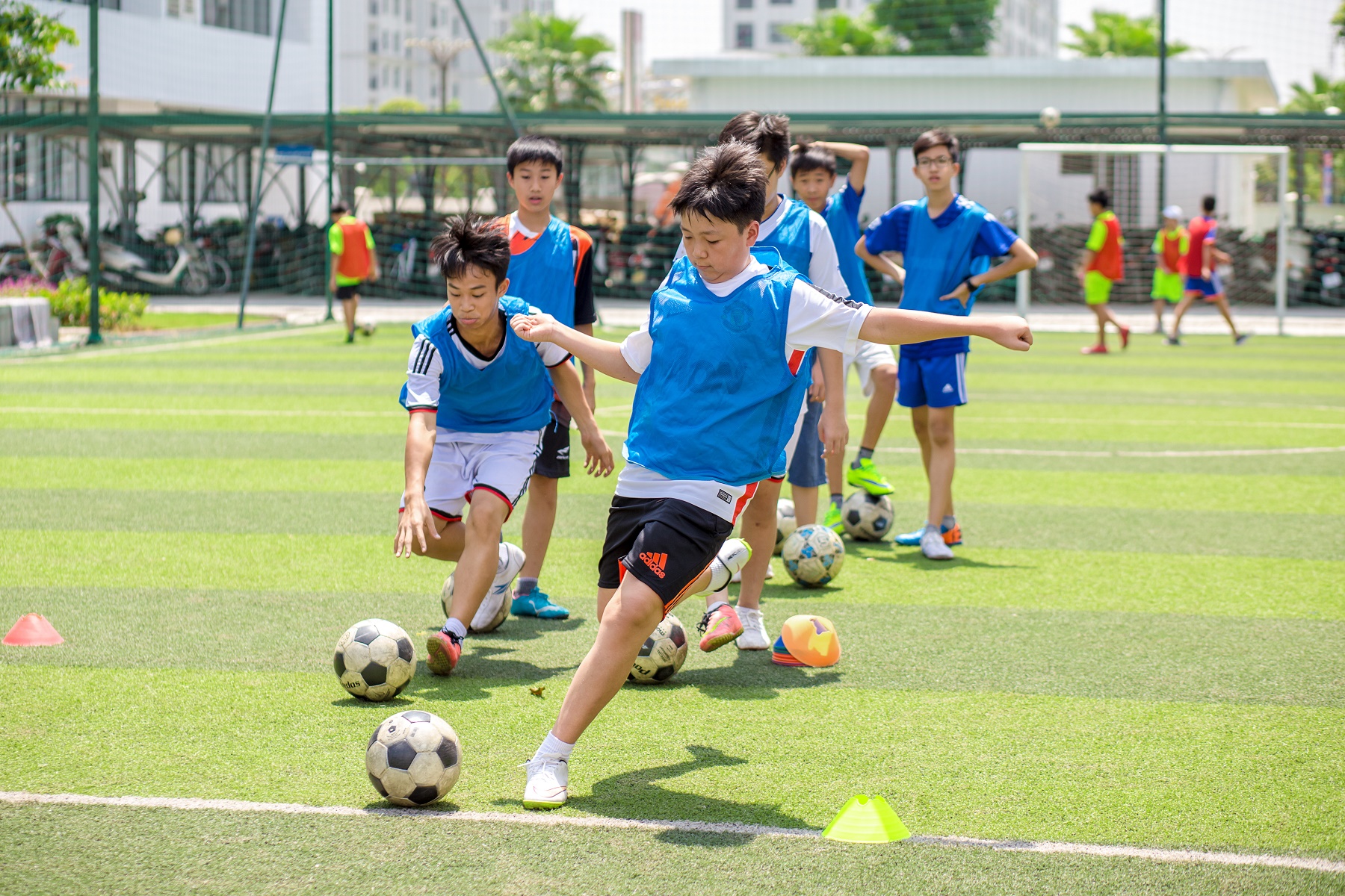 Chuỗi h&agrave;nh tr&igrave;nh trải nghiệm sống động tại Trại h&egrave; Vinschool 2017 - Ảnh 3.
