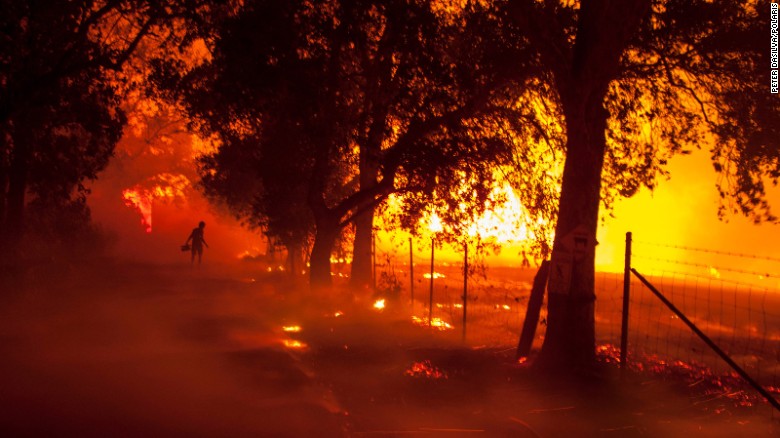 Cháy rừng California: Chỉ còn tro và xương