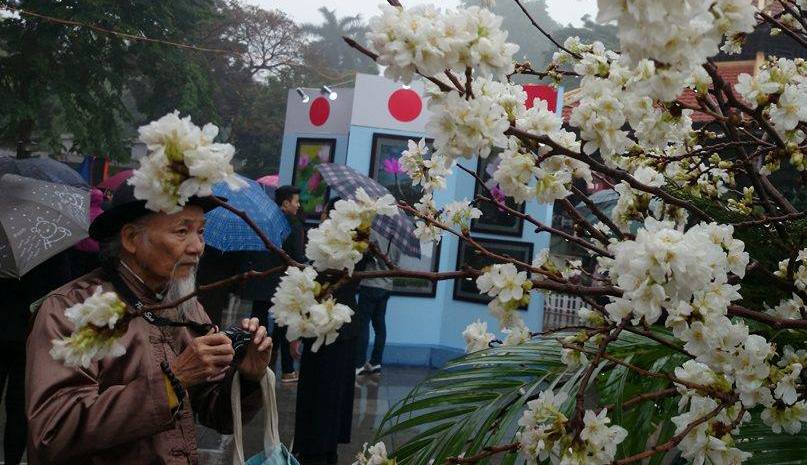 
... đến cụ gi&agrave; đều muốn lưu lại những hinh ảnh đẹp về lo&agrave;i hoa của đất nước mặt trời mọc
