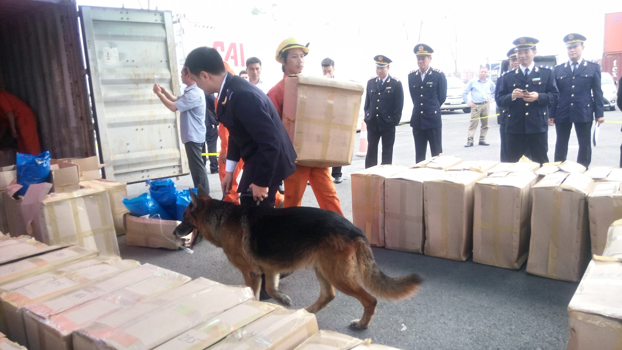 Huy động chó nghiệp vụ trong cuộc khám nghiệm, điều tra