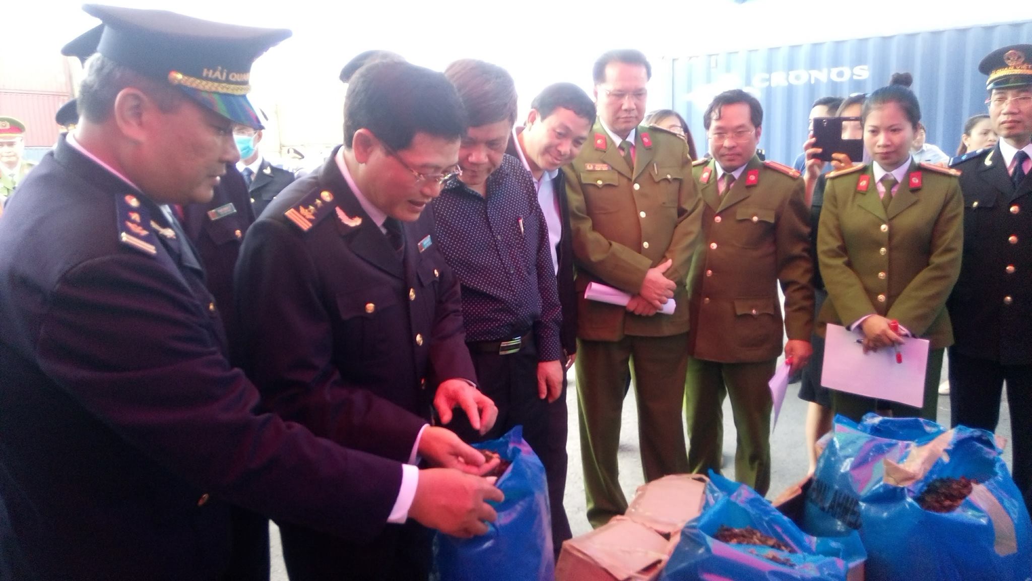 Bên trong các thùng carton là lá Khát sấy khô