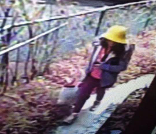 Nhật Bản cam kết tìm hung thủ sát hại bé gái Việt