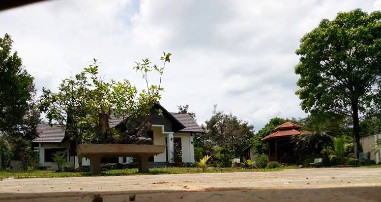 Một g&oacute;c c&ocirc;ng tr&igrave;nh biệt thư, nh&agrave; vườn của &ocirc;ng Nguyễn Văn Đấu