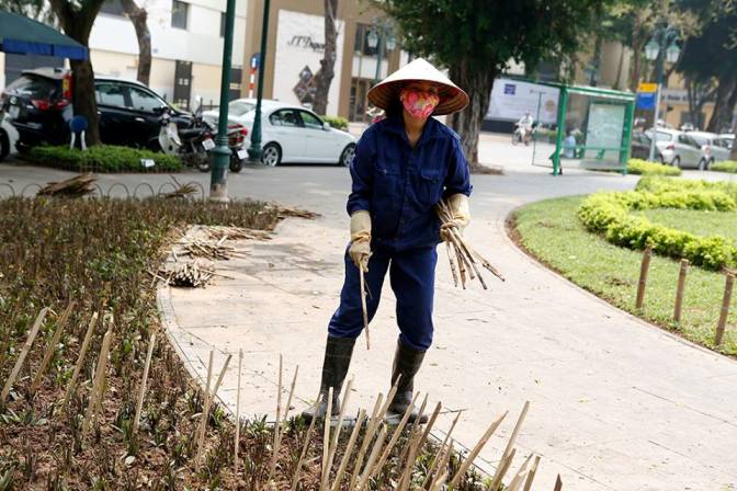 Cắm cọc tre nhọn ở vườn hoa gần Nhà hát Lớn để ngăn chó