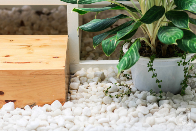 Khu vườn tuyệt đẹp có chức năng điều hoà - Ảnh 18.