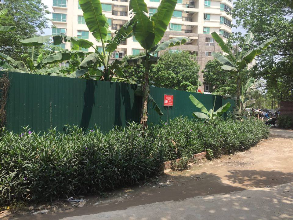 &Ocirc;ng T&acirc;y nhặt r&aacute;c muốn biến mương thối th&agrave;nh một khu vườn - Ảnh 5.