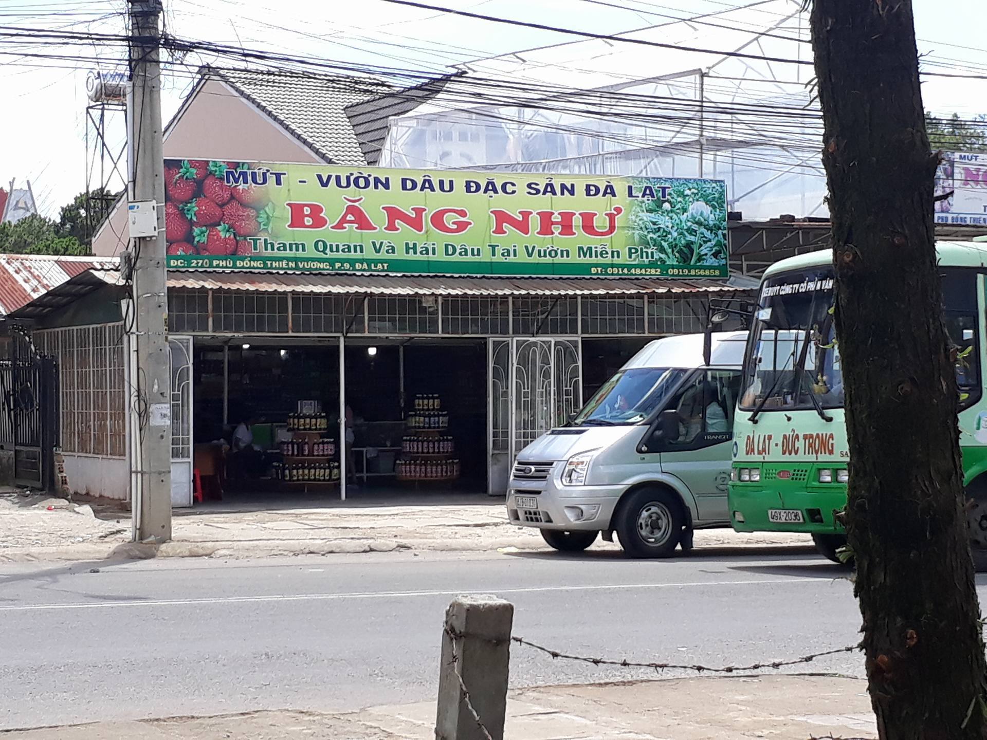 Trả lại "đặc sản Đà Lạt", một du khách bị đánh ngất xỉu