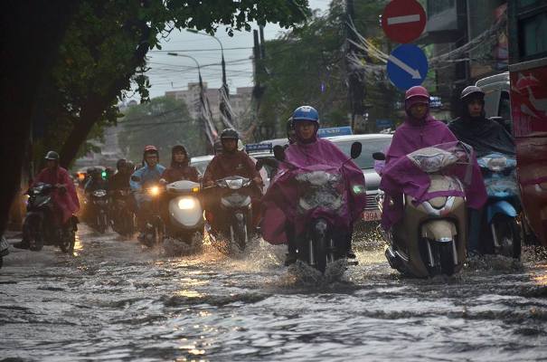 Sau đợt nắng n&oacute;ng kỷ lục, H&agrave; Nội mưa gi&oacute; gi&ocirc;ng lốc đổ c&acirc;y - Ảnh 5.