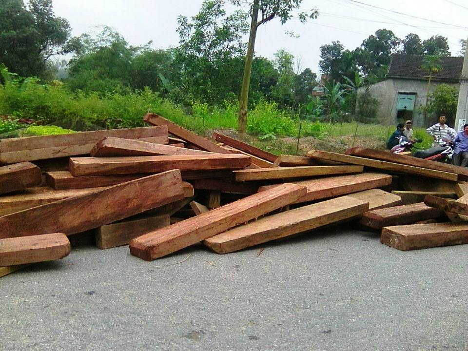 Gần 20 m khối gỗ lậu bị tài xế đổ ập xuống đường gây cản trở giao thông nghiêm trọng vào sáng 20-3