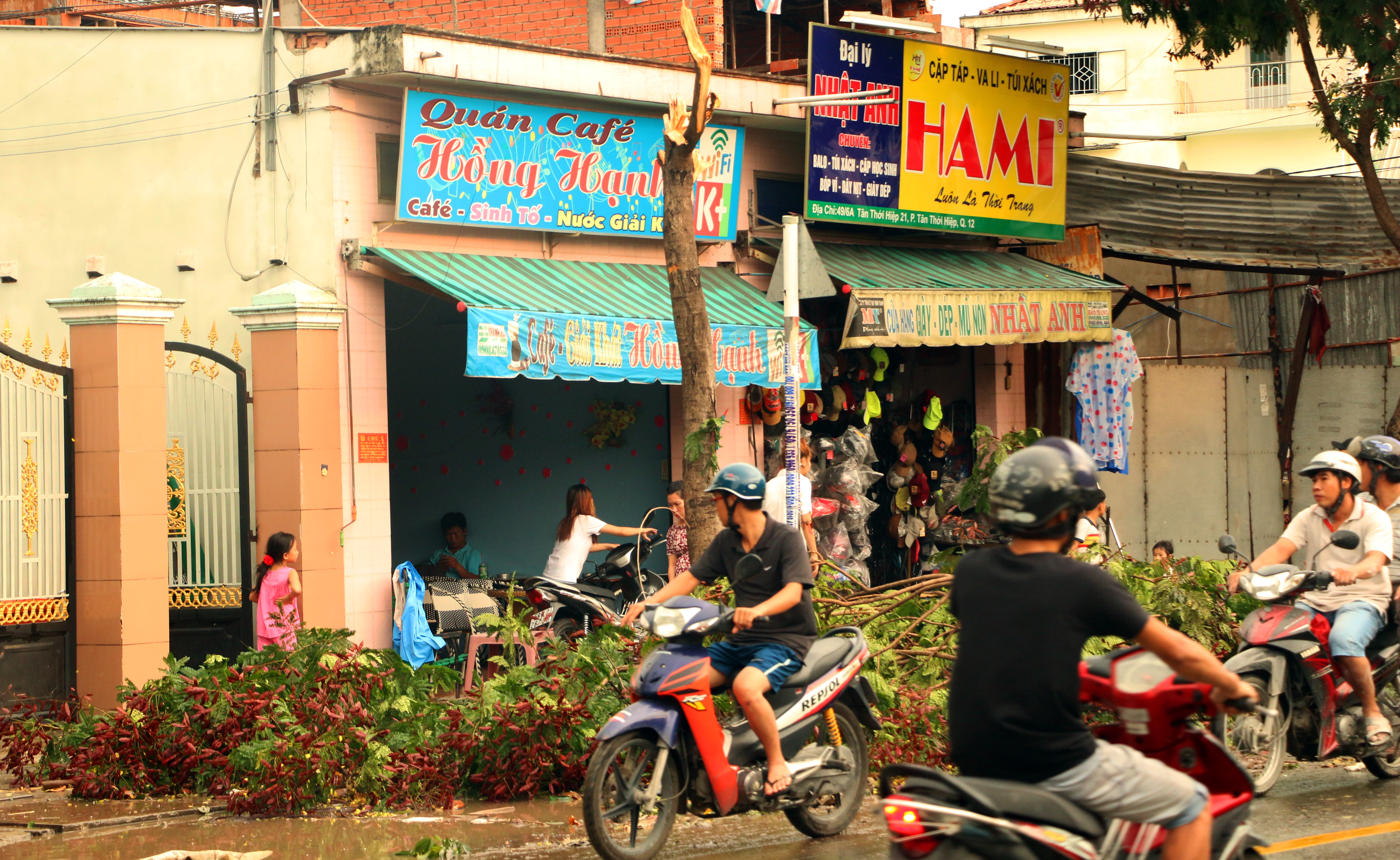 TP HCM: Mưa kèm gió giật mạnh, hàng loạt cây xanh gãy đổ