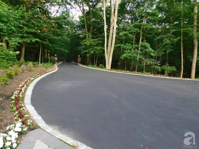 Người phụ nữ Việt biến mảnh đất 12.000m&sup2; th&agrave;nh thi&ecirc;n đường hoa rực rỡ - Ảnh 2.