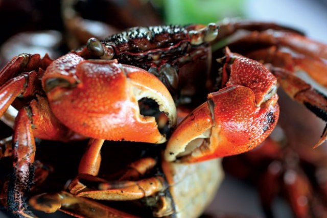 Điều &iacute;t người biết về con ba kh&iacute;a nổi tiếng của C&agrave; Mau - Ảnh 2.