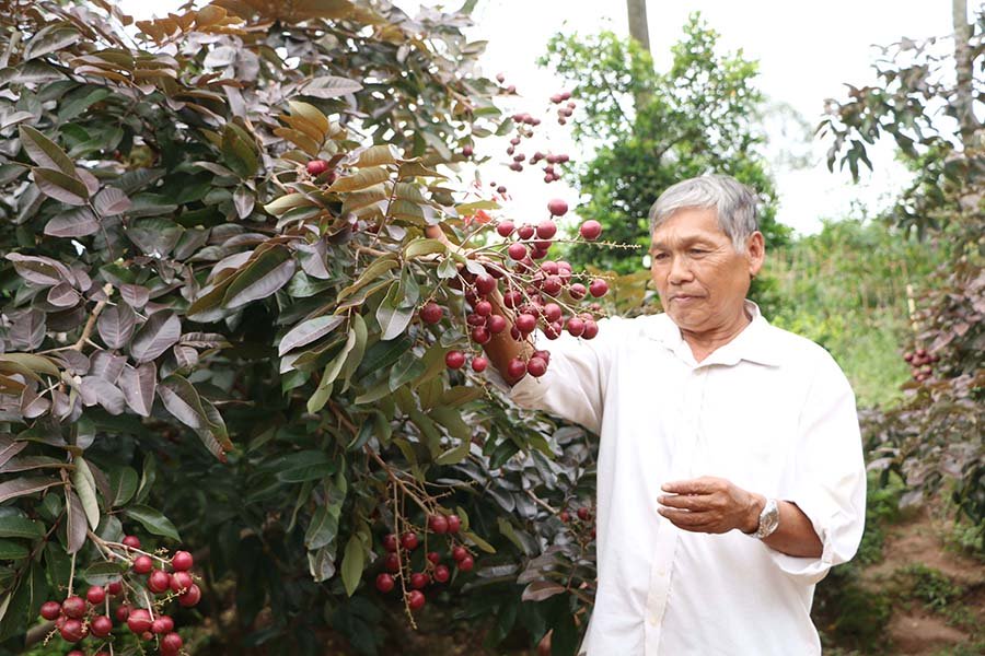 Nh&atilde;n t&iacute;m độc nhất v&ocirc; nhị miền T&acirc;y: Nh&igrave;n l&agrave; m&ecirc;, sờ l&agrave; th&iacute;ch - Ảnh 2.
