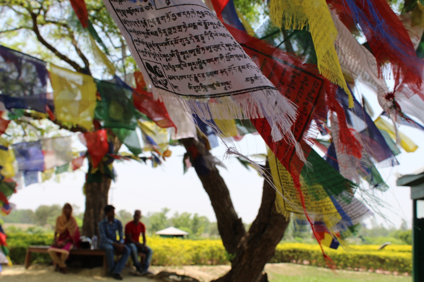 Đi chân đất ở Lumbini - Ảnh 2.