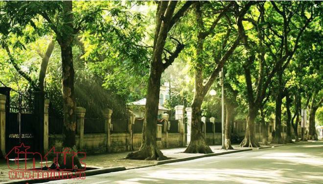 Những khoảnh khắc H&agrave; Nội đẹp tĩnh lặng - Ảnh 2.
