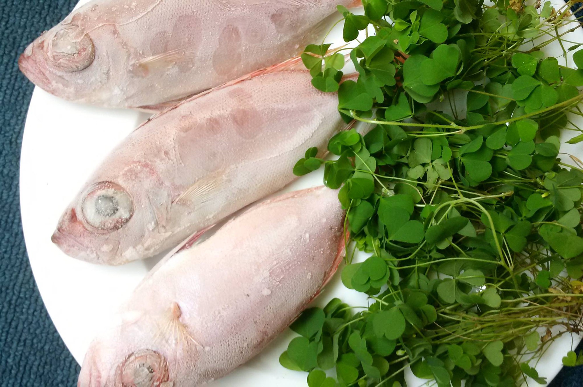 Th&egrave;m lắm t&ocirc; canh c&aacute; th&oacute;c nấu me đất - Ảnh 2.