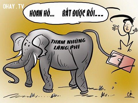 Chặn cái sai bổ nhiệm từ trứng nước